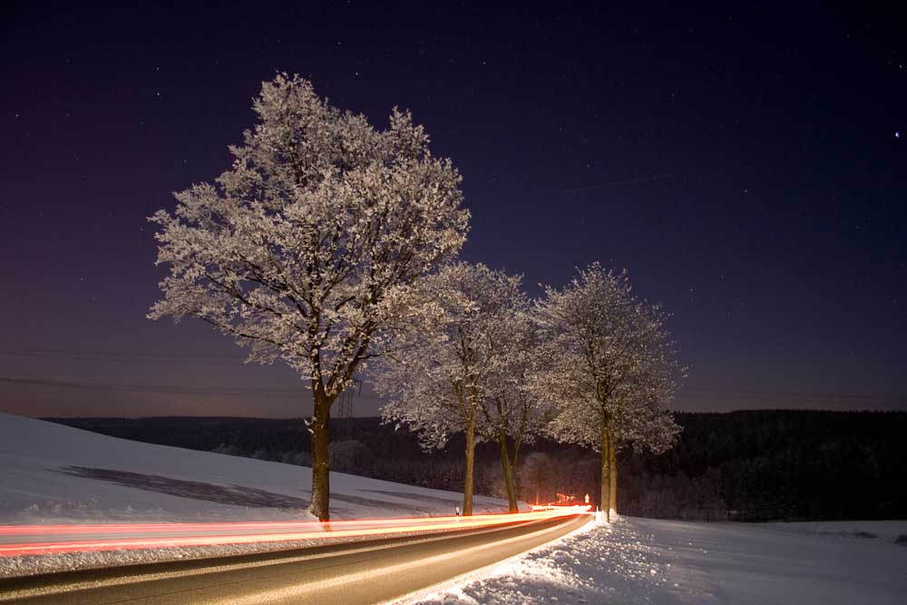 Verschneite Baumallee bei Nacht